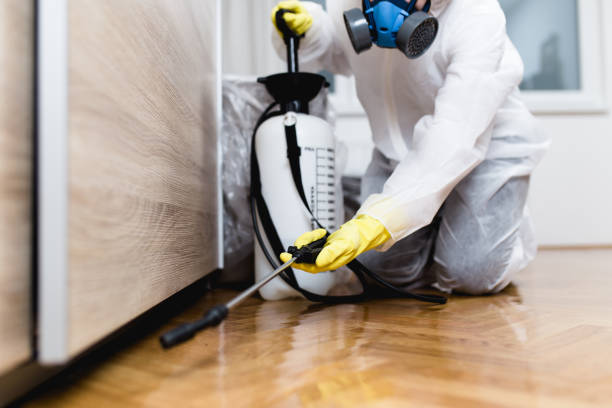 Best Local Pest Control Services  in Red Lake, MN