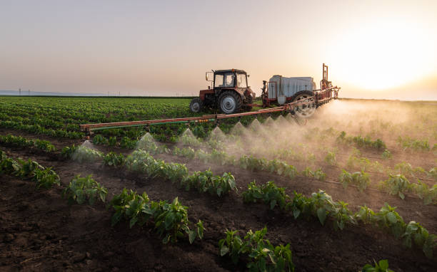 Trusted Red Lake, MN Pest Control Experts