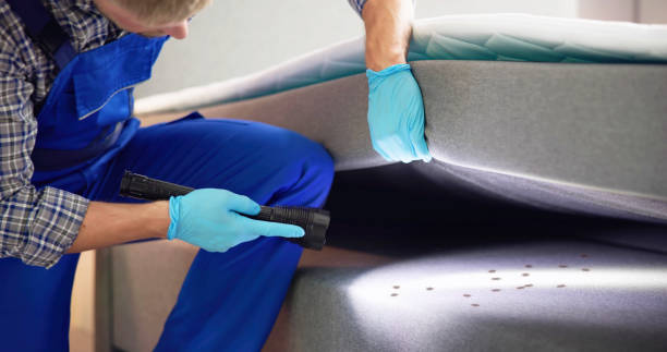 Best Pest Control Near Me  in Red Lake, MN