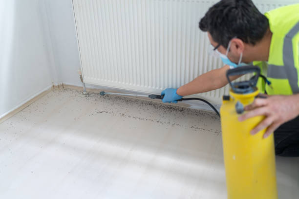 Best Local Pest Control Services  in Red Lake, MN