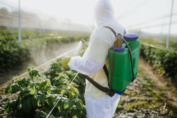 Best Emergency Pest Control  in Red Lake, MN